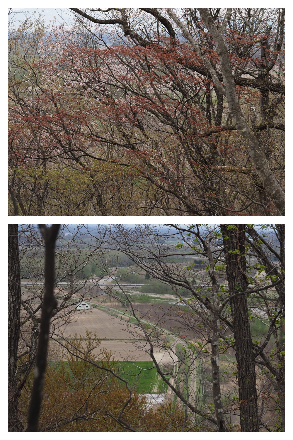 260428_Kunimiyama_24