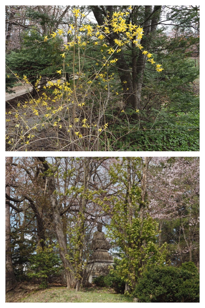 260429_Fuji-daibutsu_12