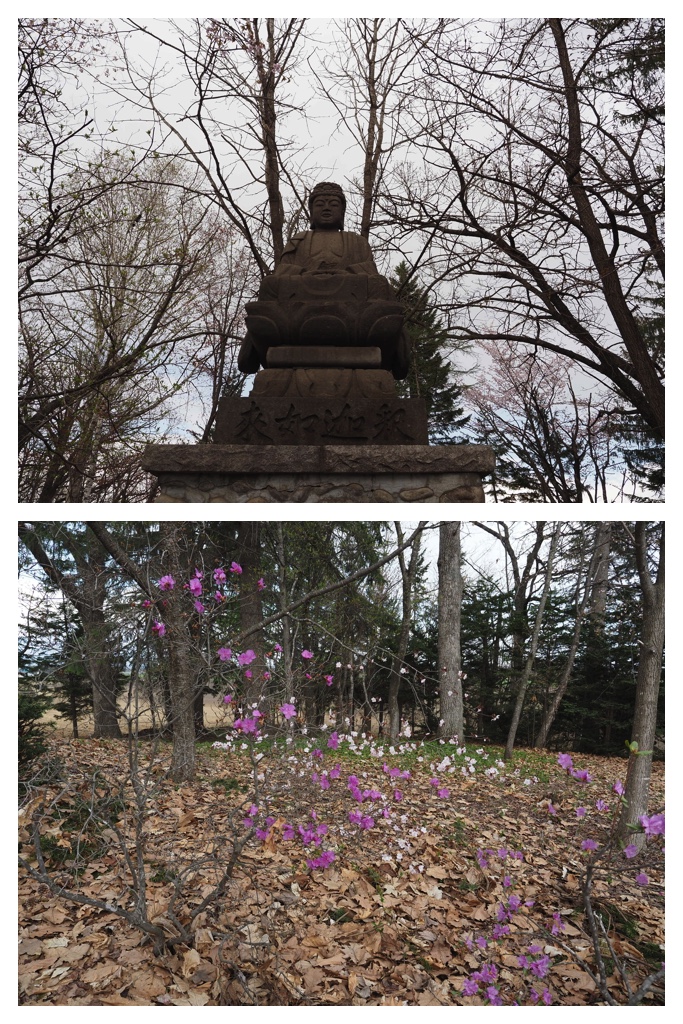 260429_Fuji-daibutsu_8
