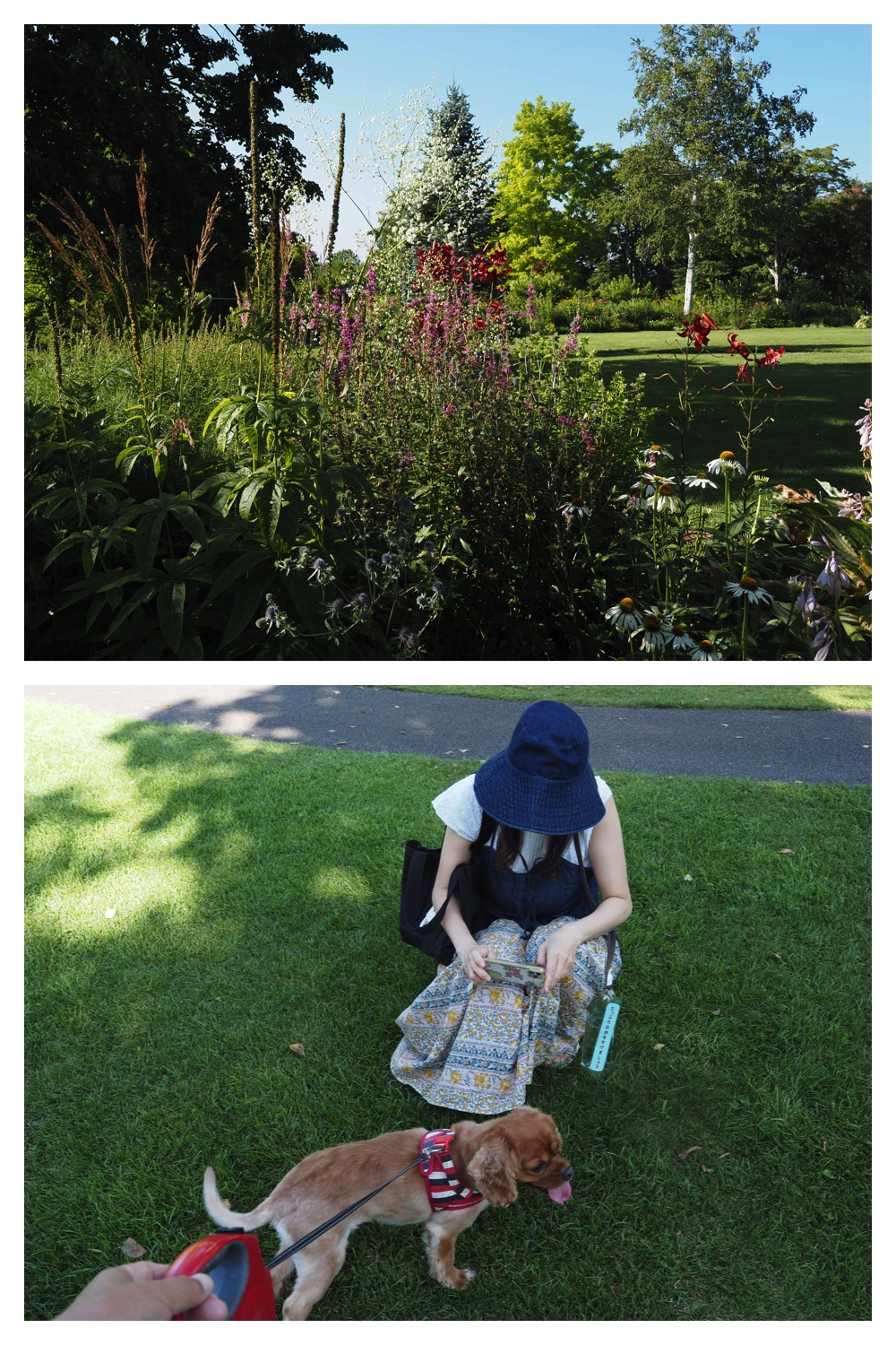 260802_Hills_4