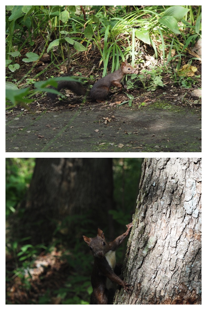 260830_Zoo_22