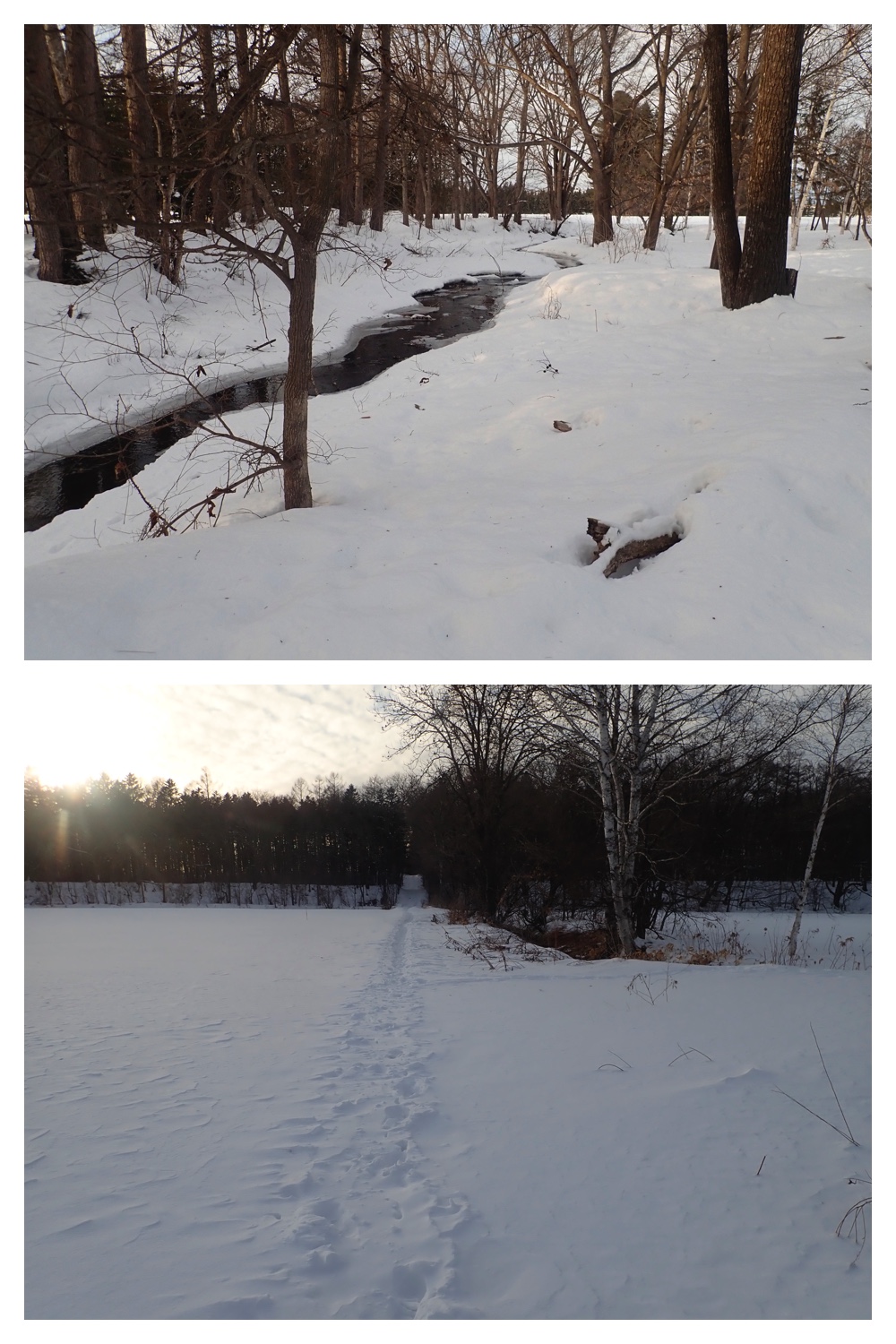 260207_New-pedometer_2