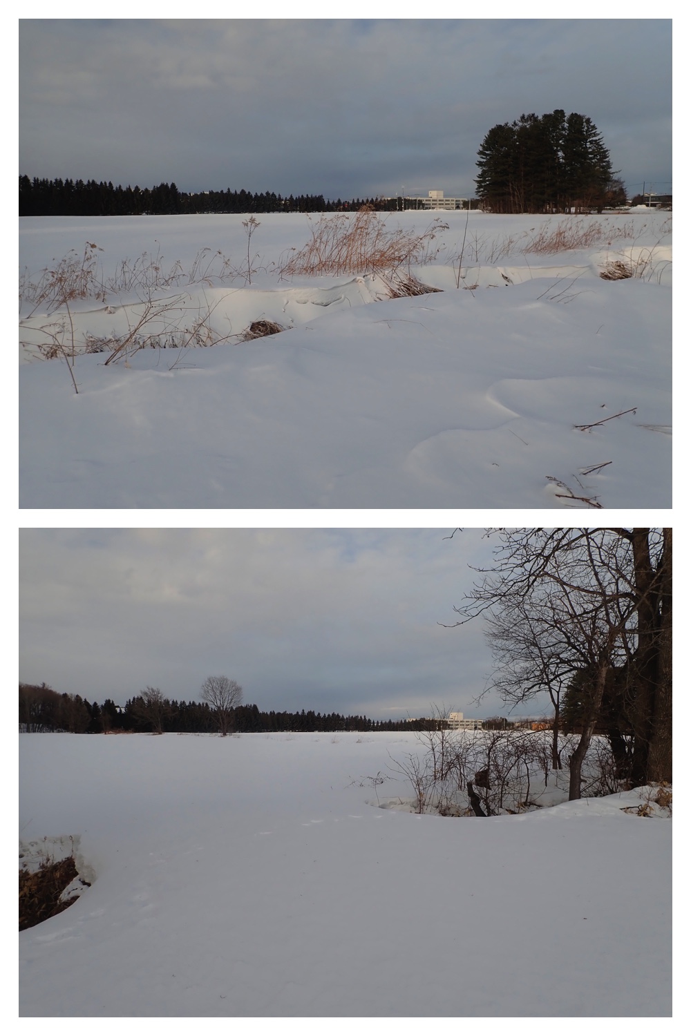 260207_New-pedometer_3