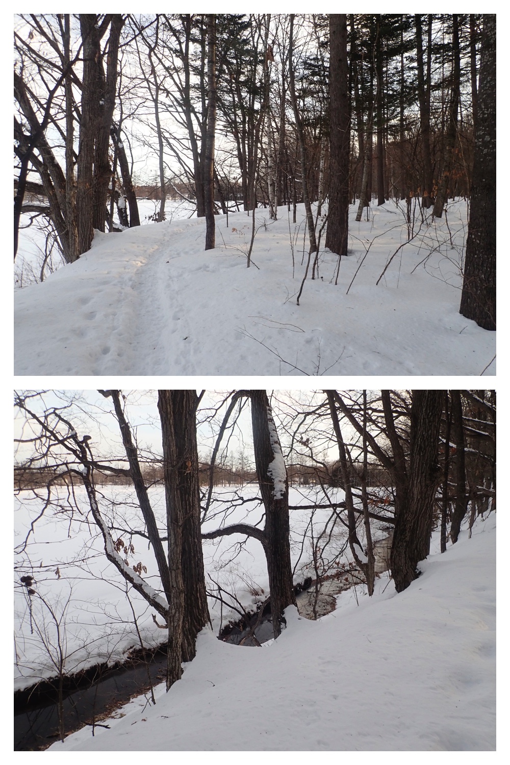 260207_New-pedometer_4