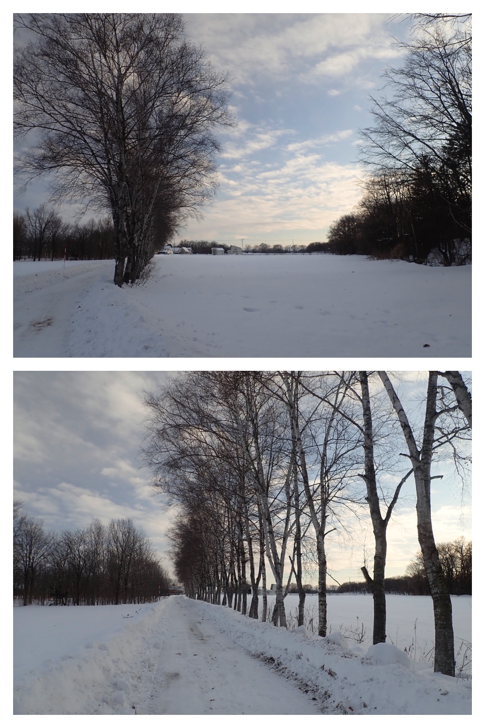 260207_New-pedometer_6