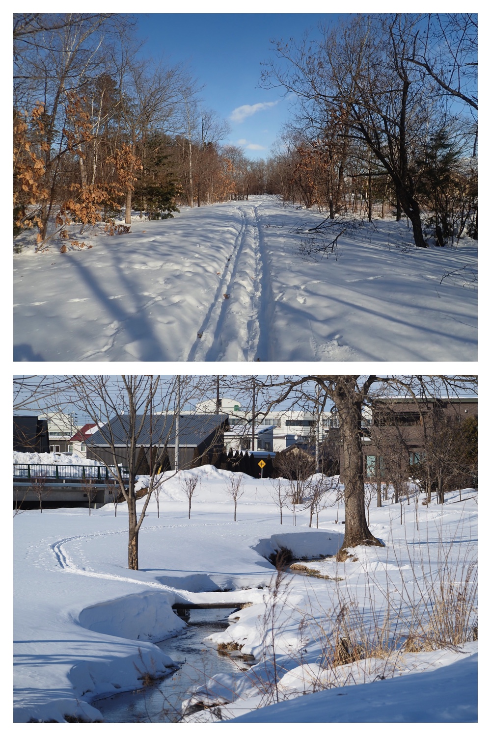 260209_2Pedometers_2