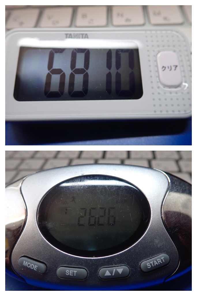 260209_2Pedometers_8