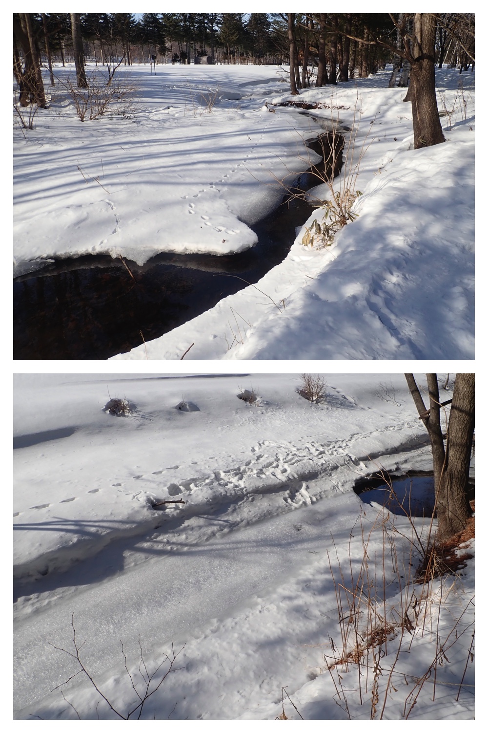 260210_After-the-pol_3