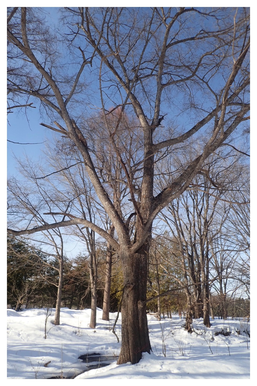 260210_After-the-pol_4