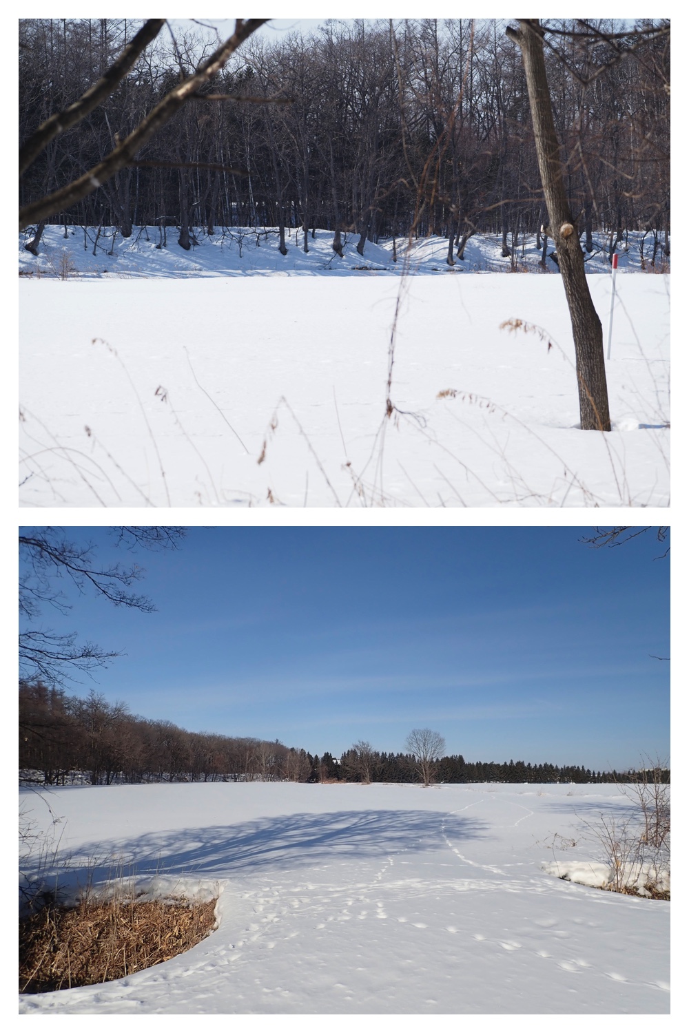 260210_After-the-pol_6