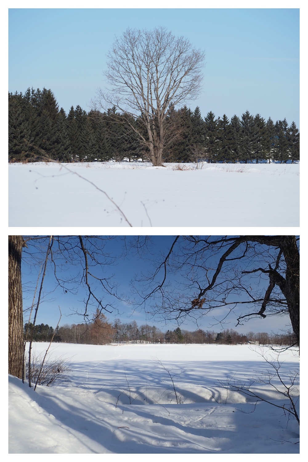 260210_After-the-pol_8