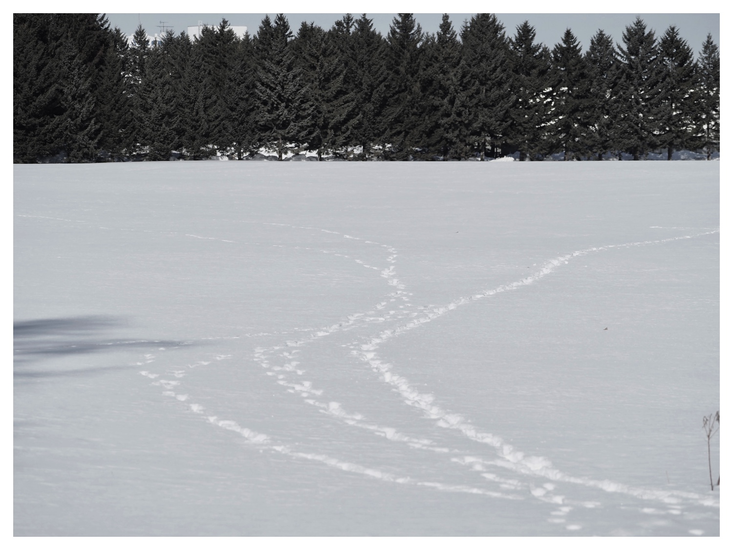 260210_After-the-pol_9