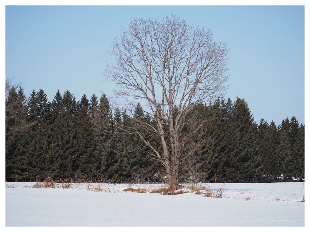 260223_rubber-boots_1