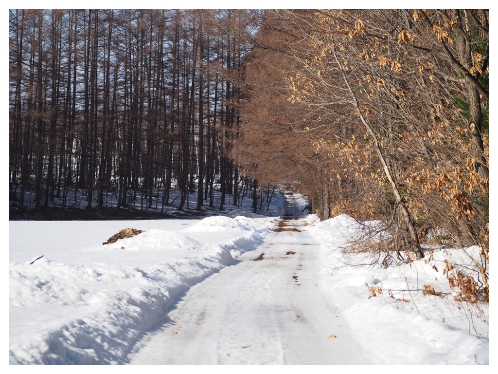 260223_rubber-boots_10