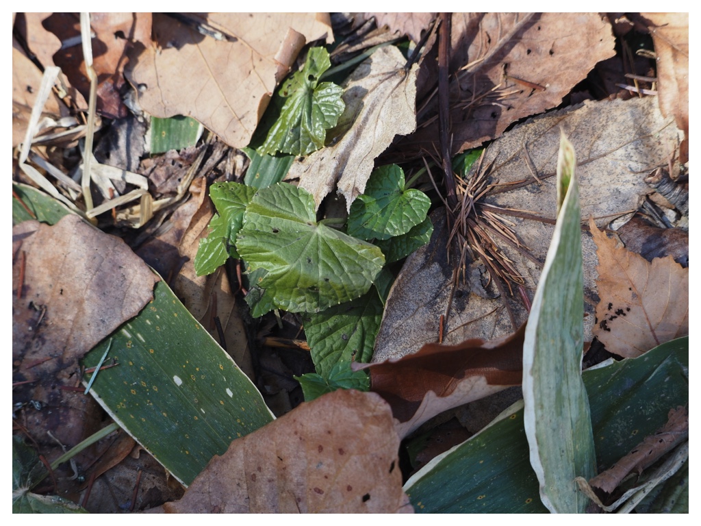 260223_rubber-boots_3