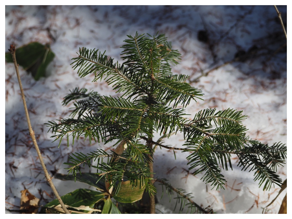 260223_rubber-boots_4