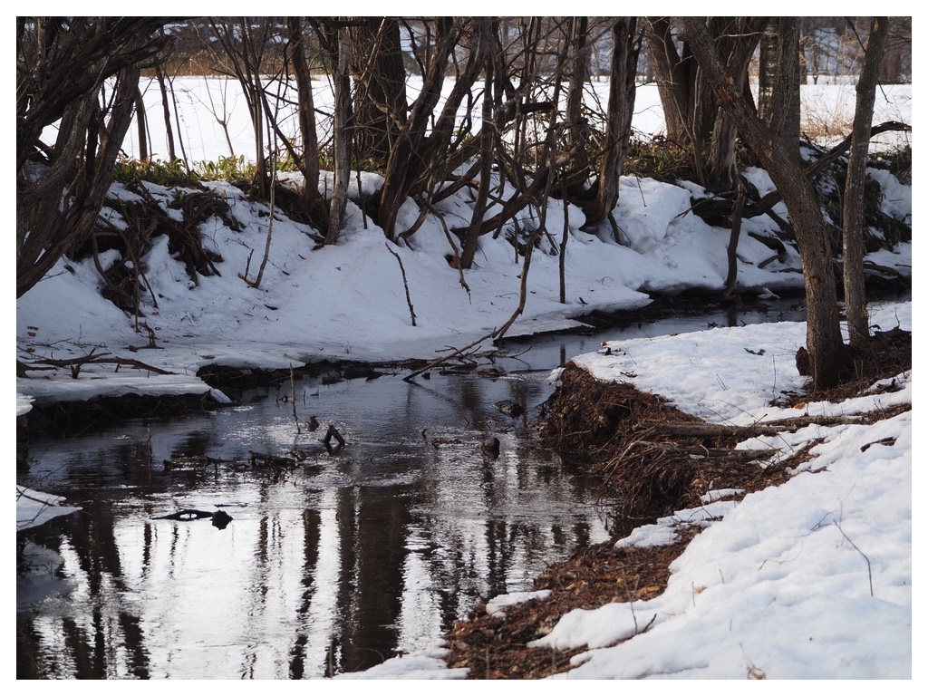 260224_rubber-boots_2