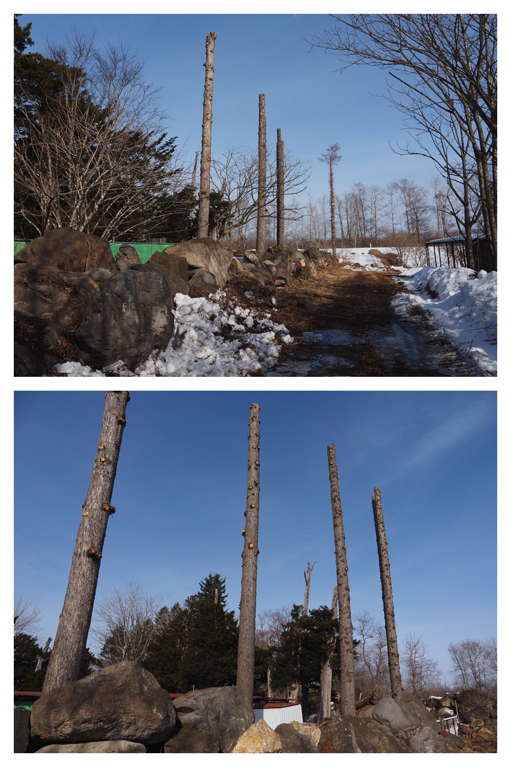 260226_Satsunaigawa_1