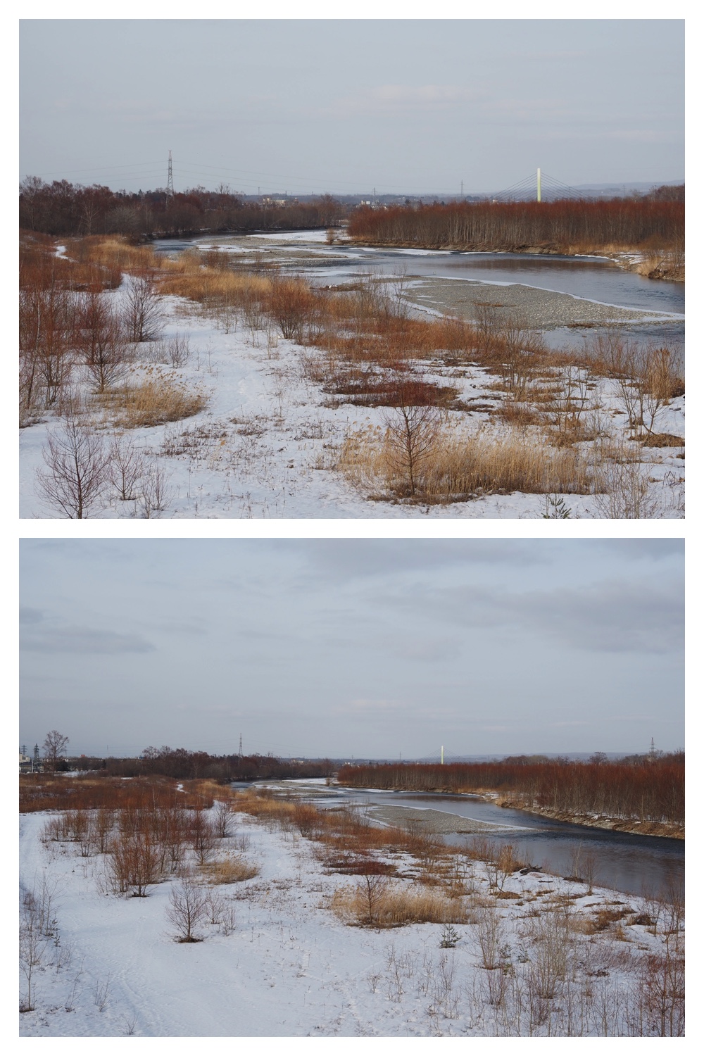 260226_Satsunaigawa_13