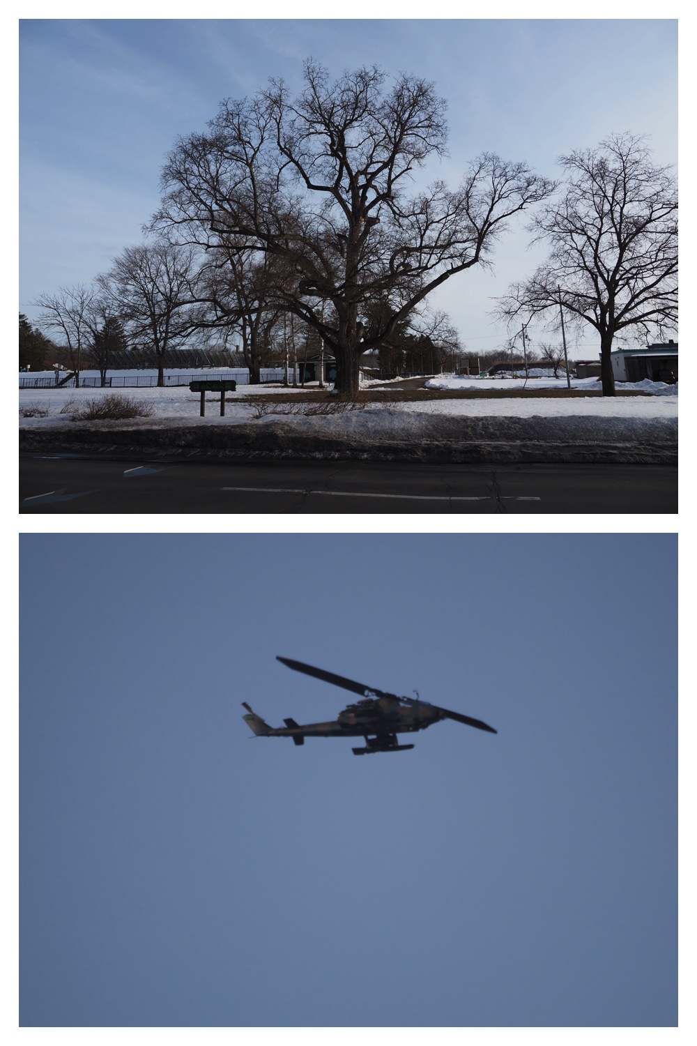 260226_Satsunaigawa_17