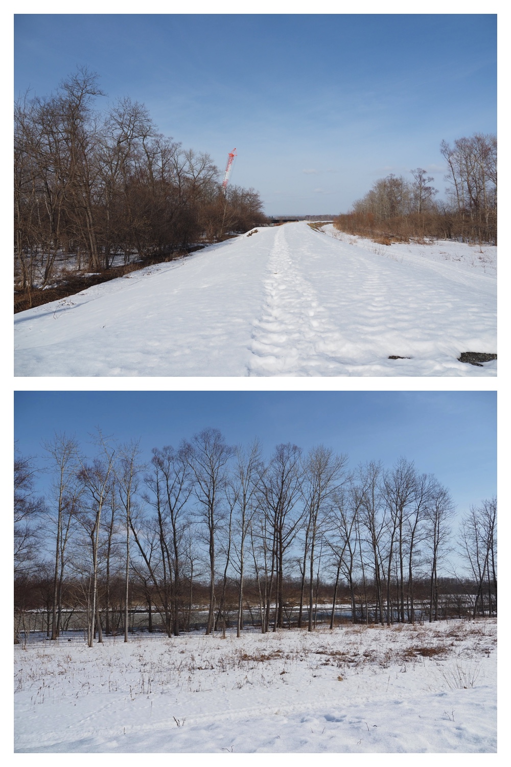 260226_Satsunaigawa_2