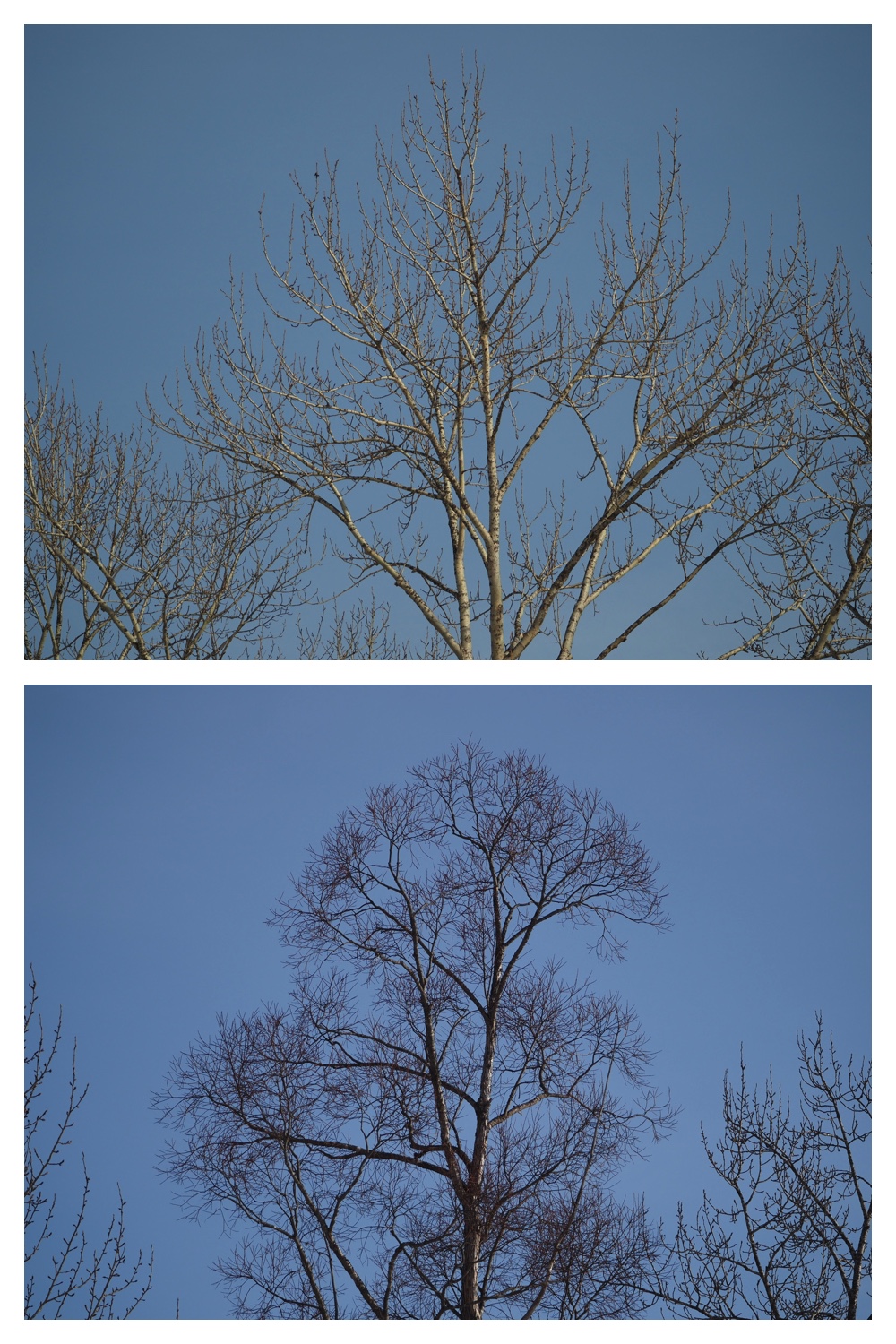 260226_Satsunaigawa_5