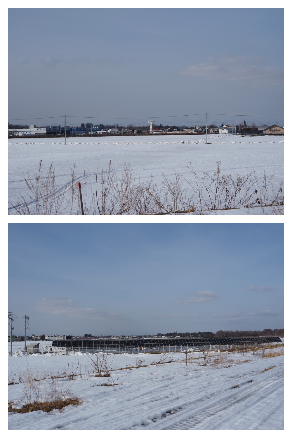 260226_Satsunaigawa_7