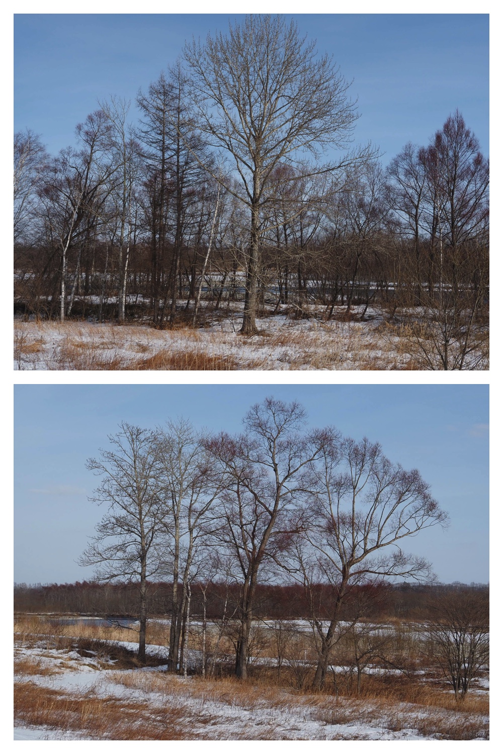 260226_Satsunaigawa_8