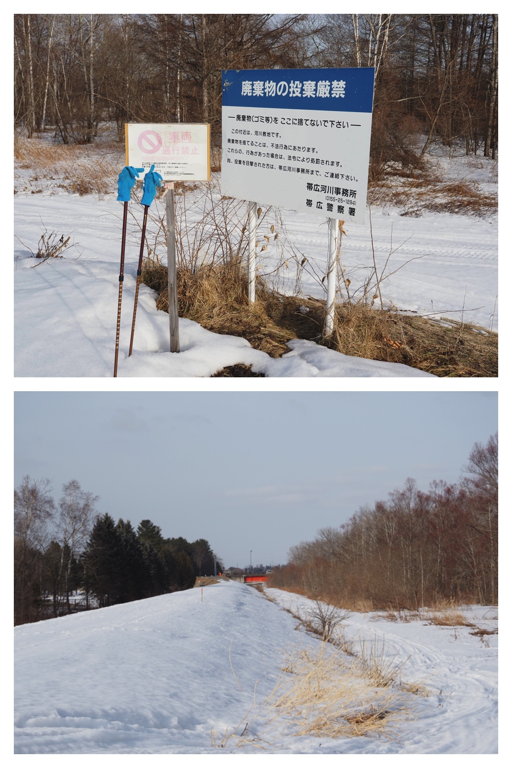 260226_Satsunaigawa_9