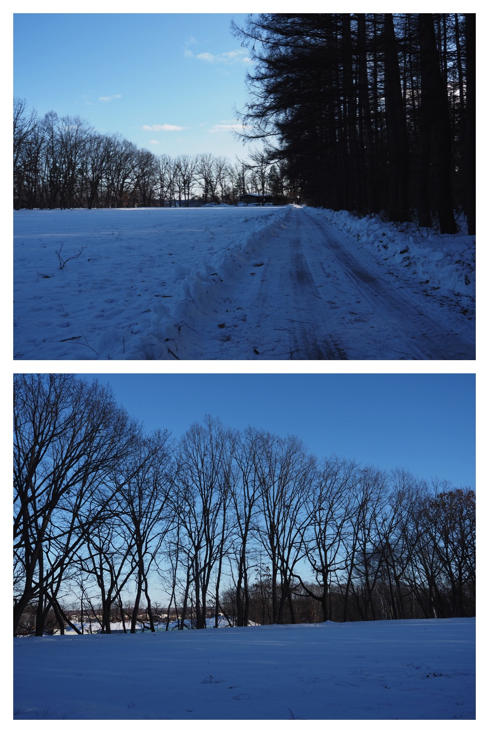 260102_New-Year-Walk_16