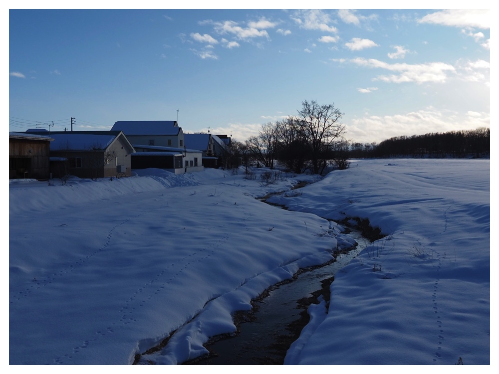 260102_New-Year-Walk_18