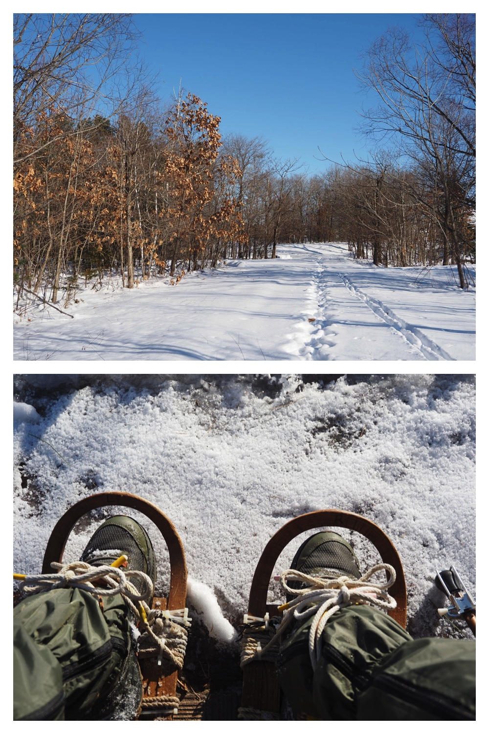 260102_New-Year-Walk_2