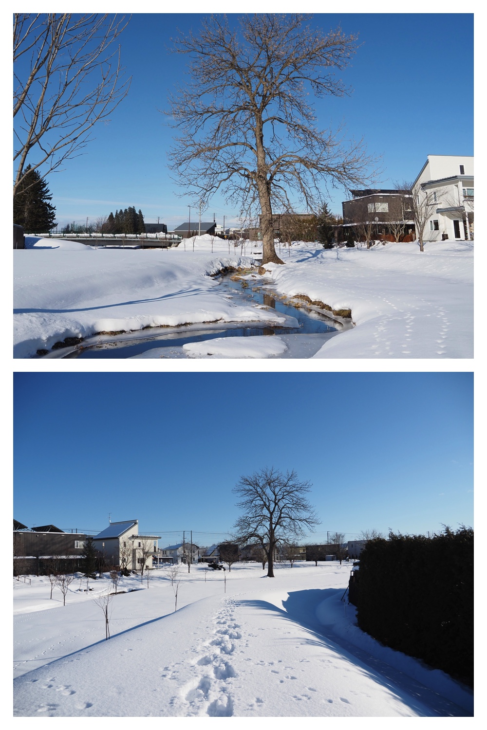 260102_New-Year-Walk_5