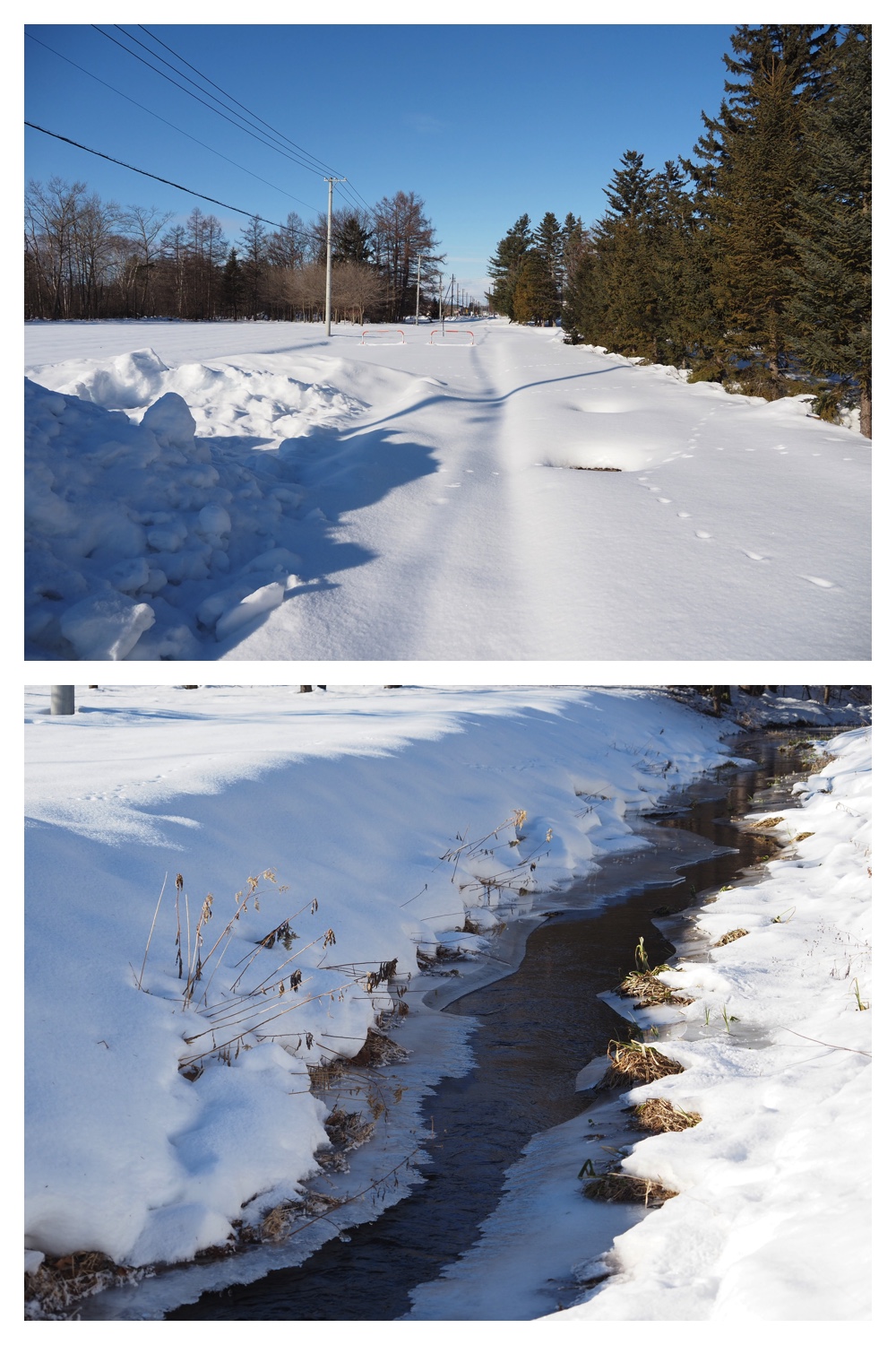 260102_New-Year-Walk_6