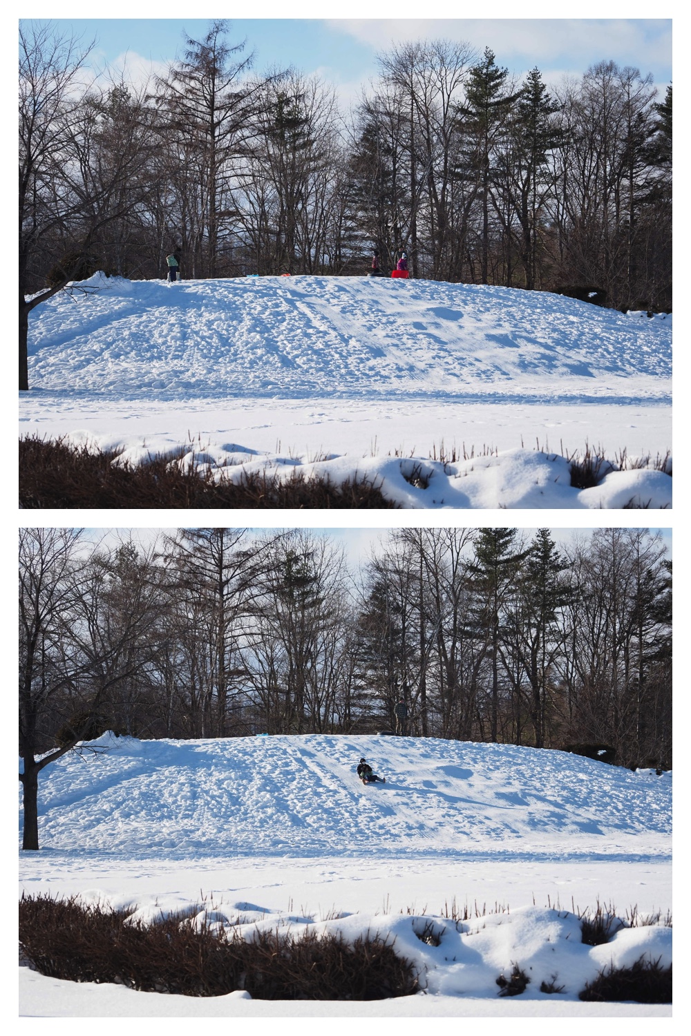 260102_New-Year-Walk_7