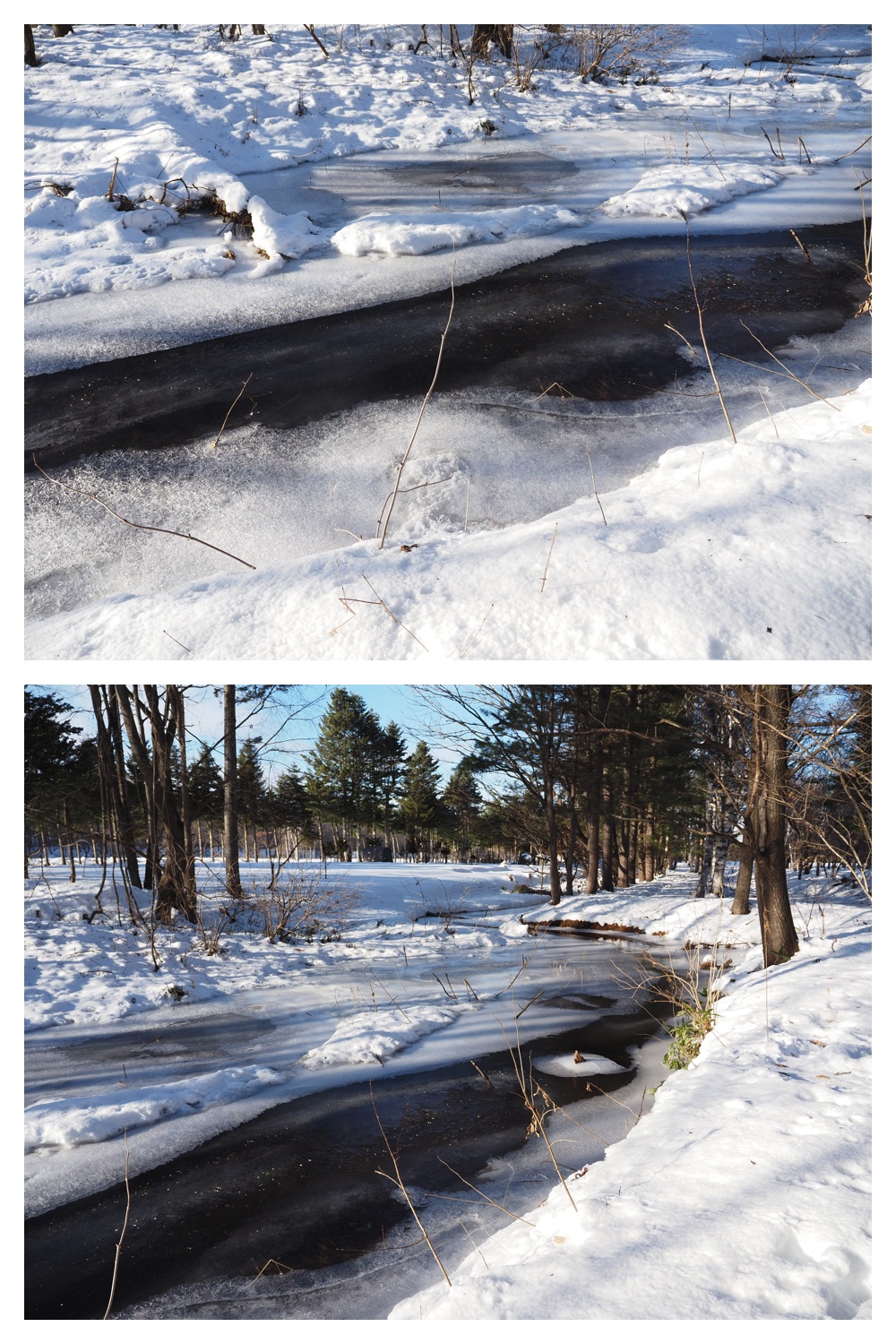 260102_New-Year-Walk_9