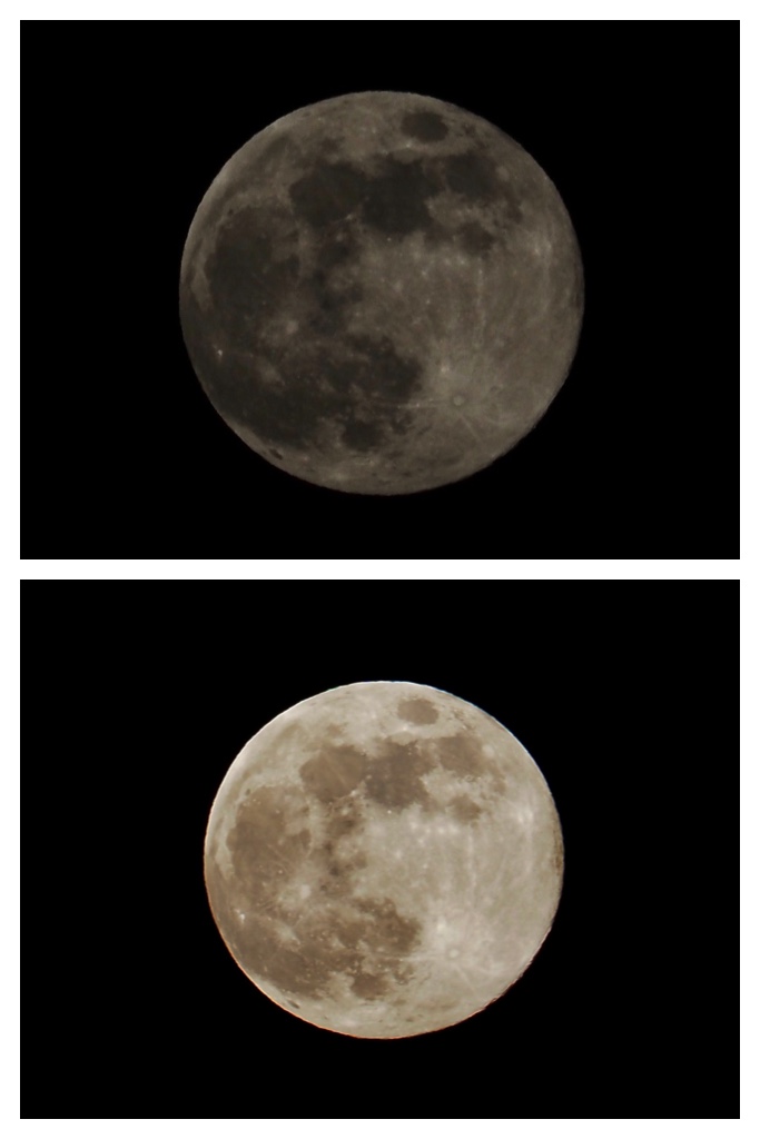 260103_Full-moon