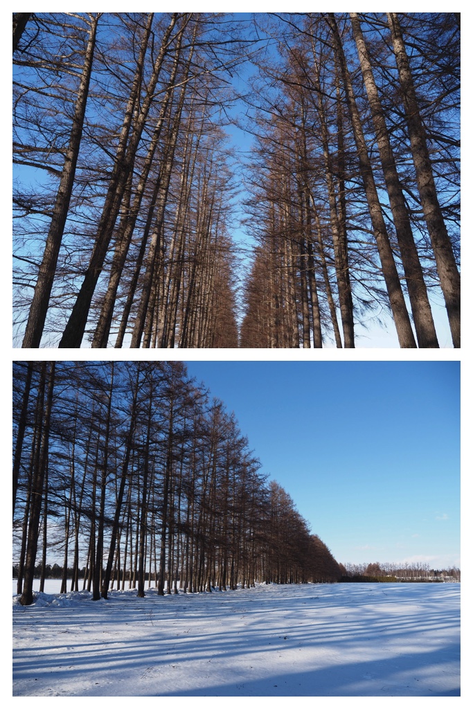 260105_Minivolley_15