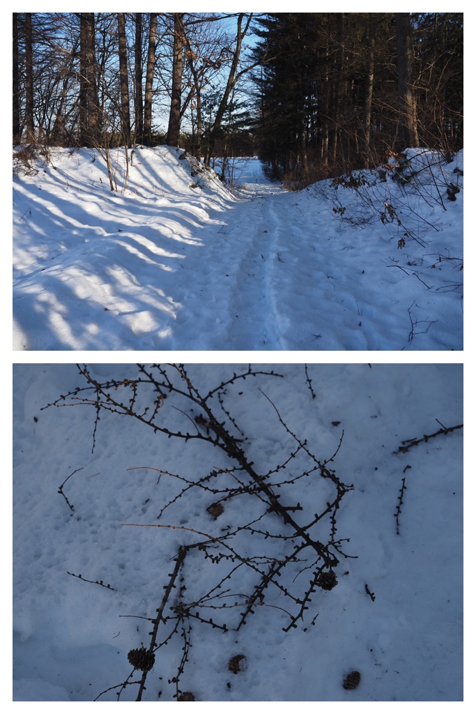 260105_Minivolley_16