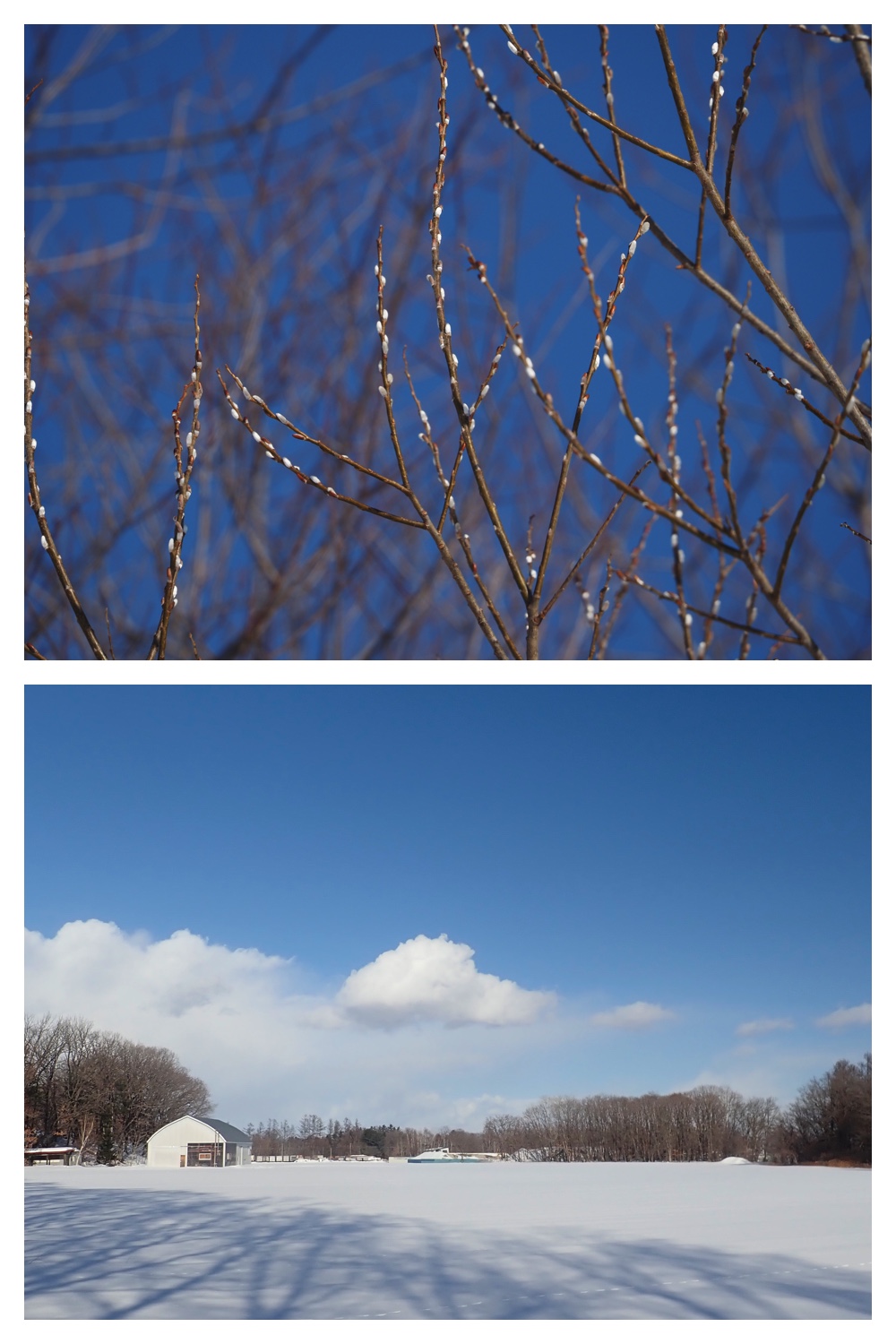 260121_Counter-route_2