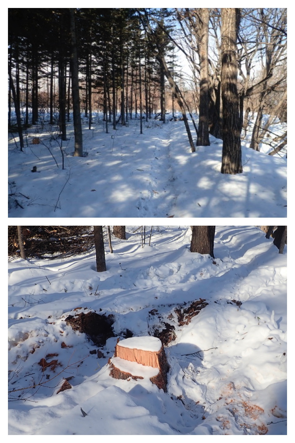 260121_Counter-route_3