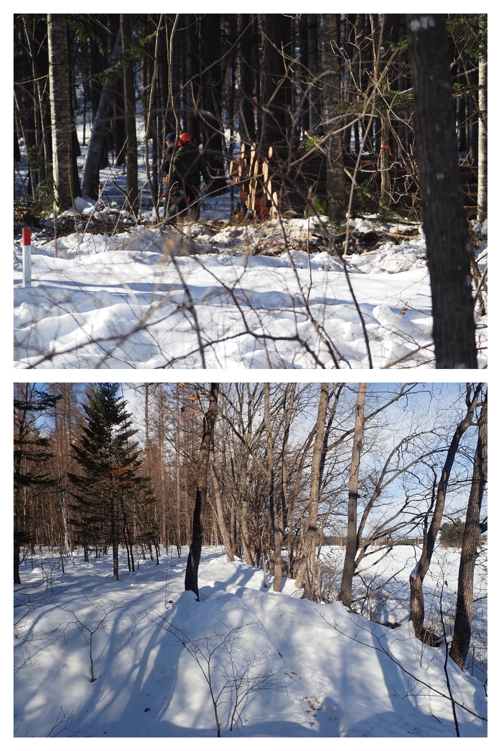 260121_Counter-route_4