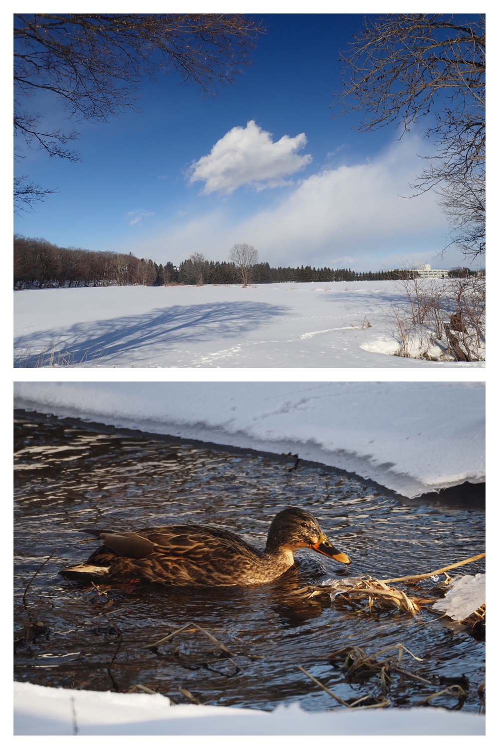 260121_Counter-route_5