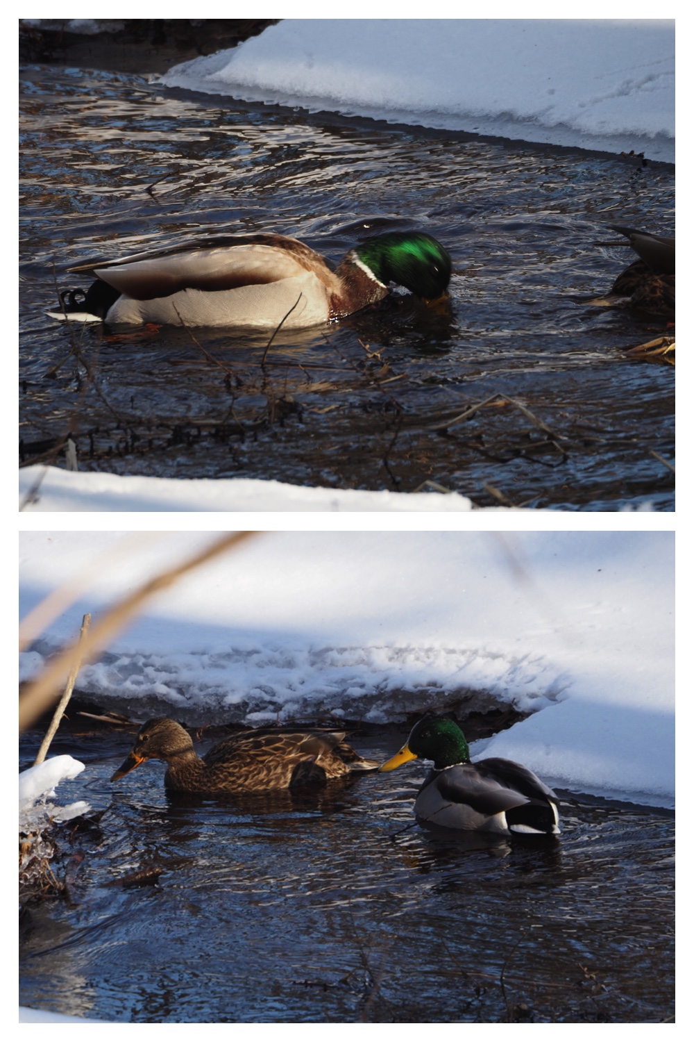 260121_Counter-route_6