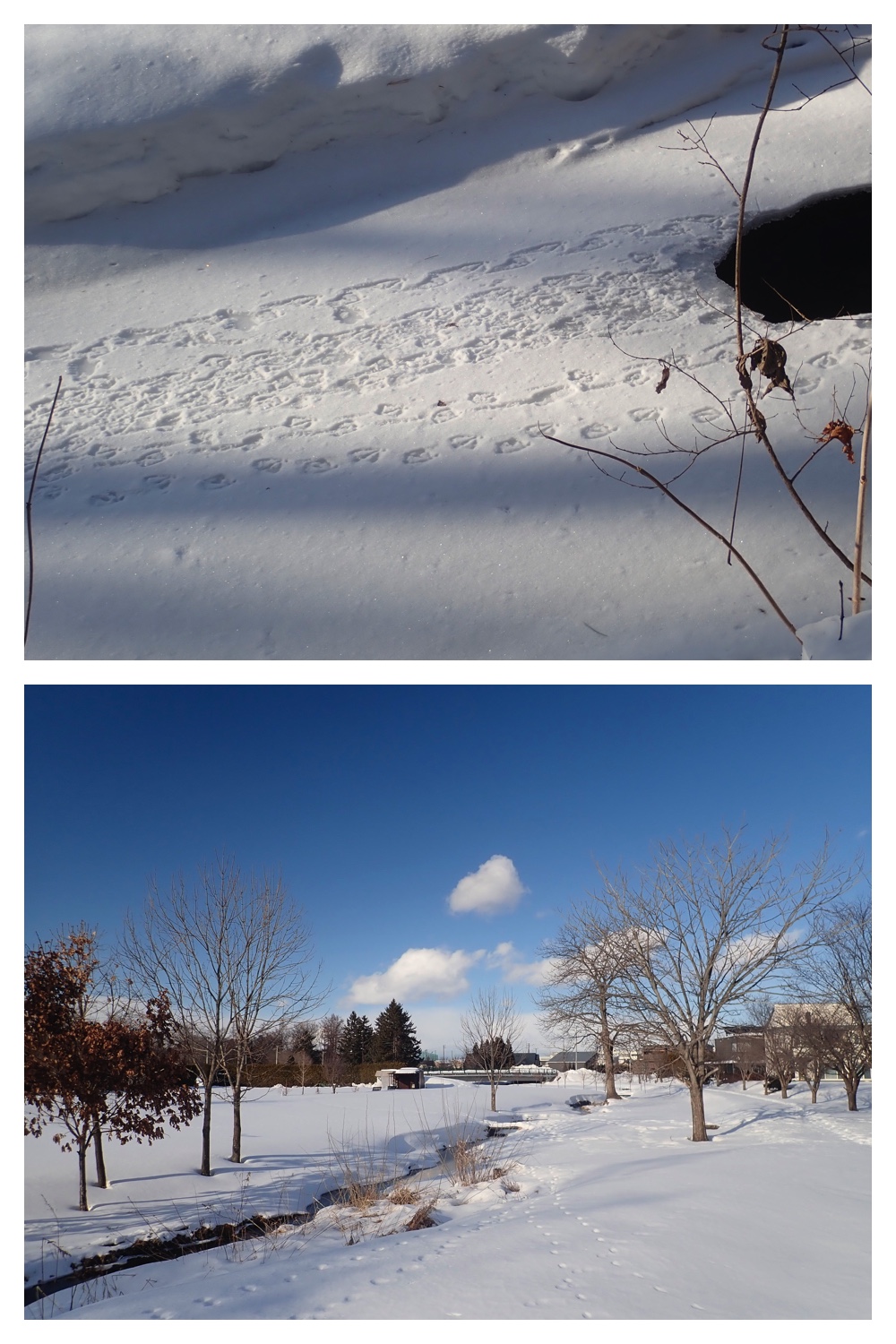 260121_Counter-route_8