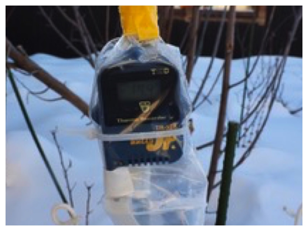 260125_Bird-survey_1