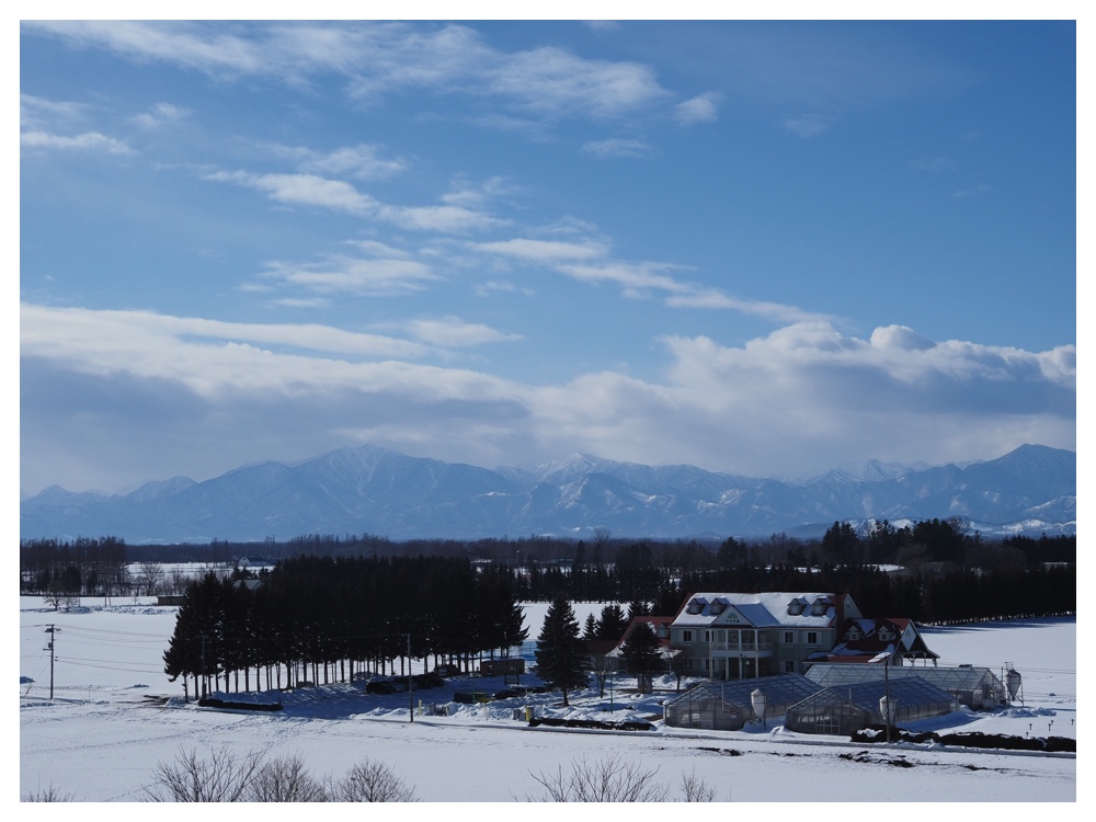 260125_Bird-survey_16