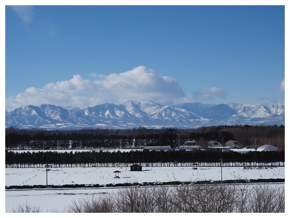 260125_Bird-survey_18