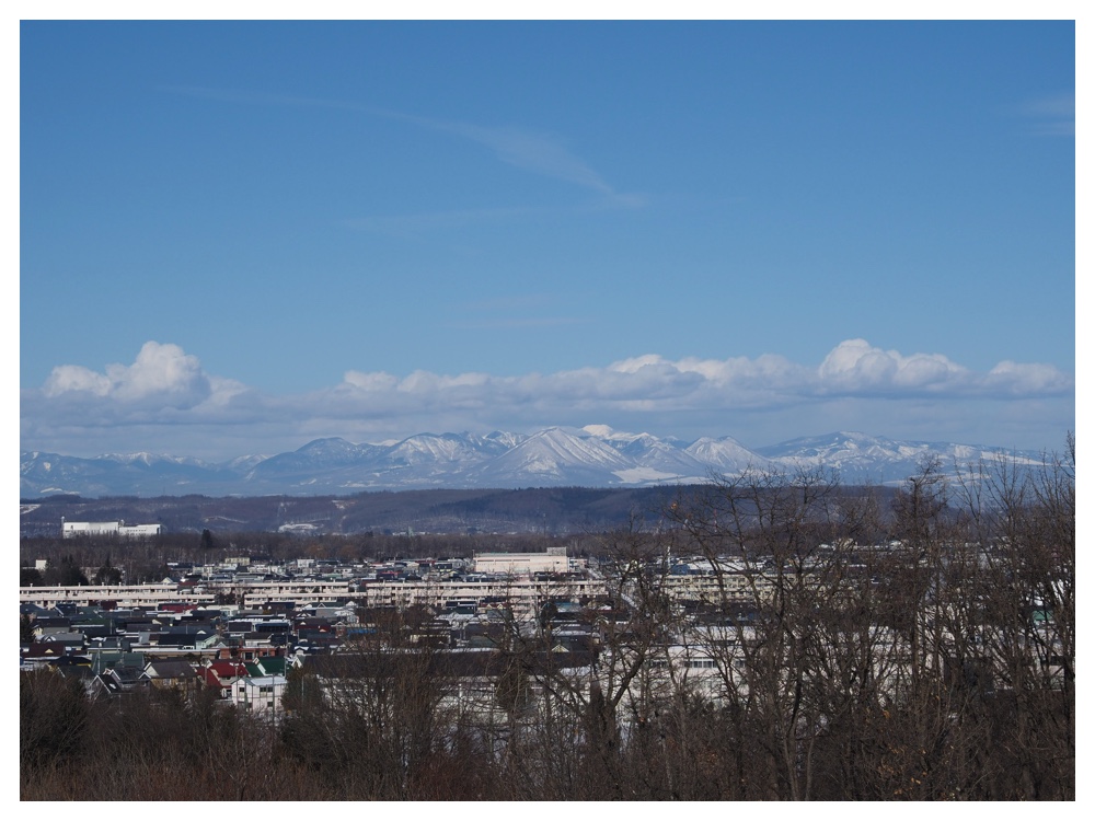 260125_Bird-survey_19