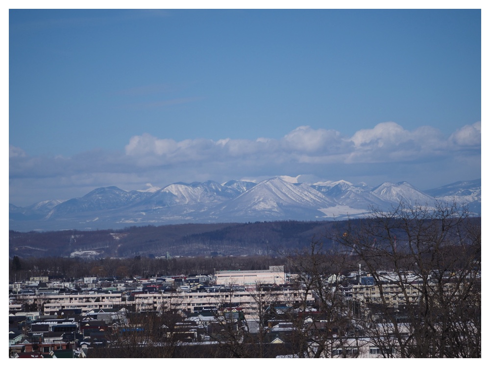 260125_Bird-survey_22